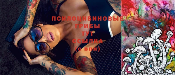 бошки Дмитров