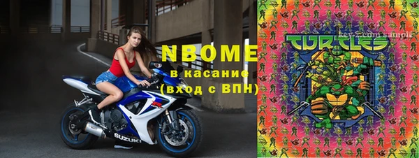 дмт Ельня