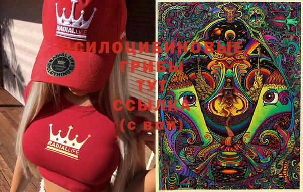 бошки Дмитров