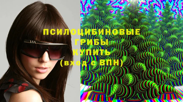 бошки Дмитров